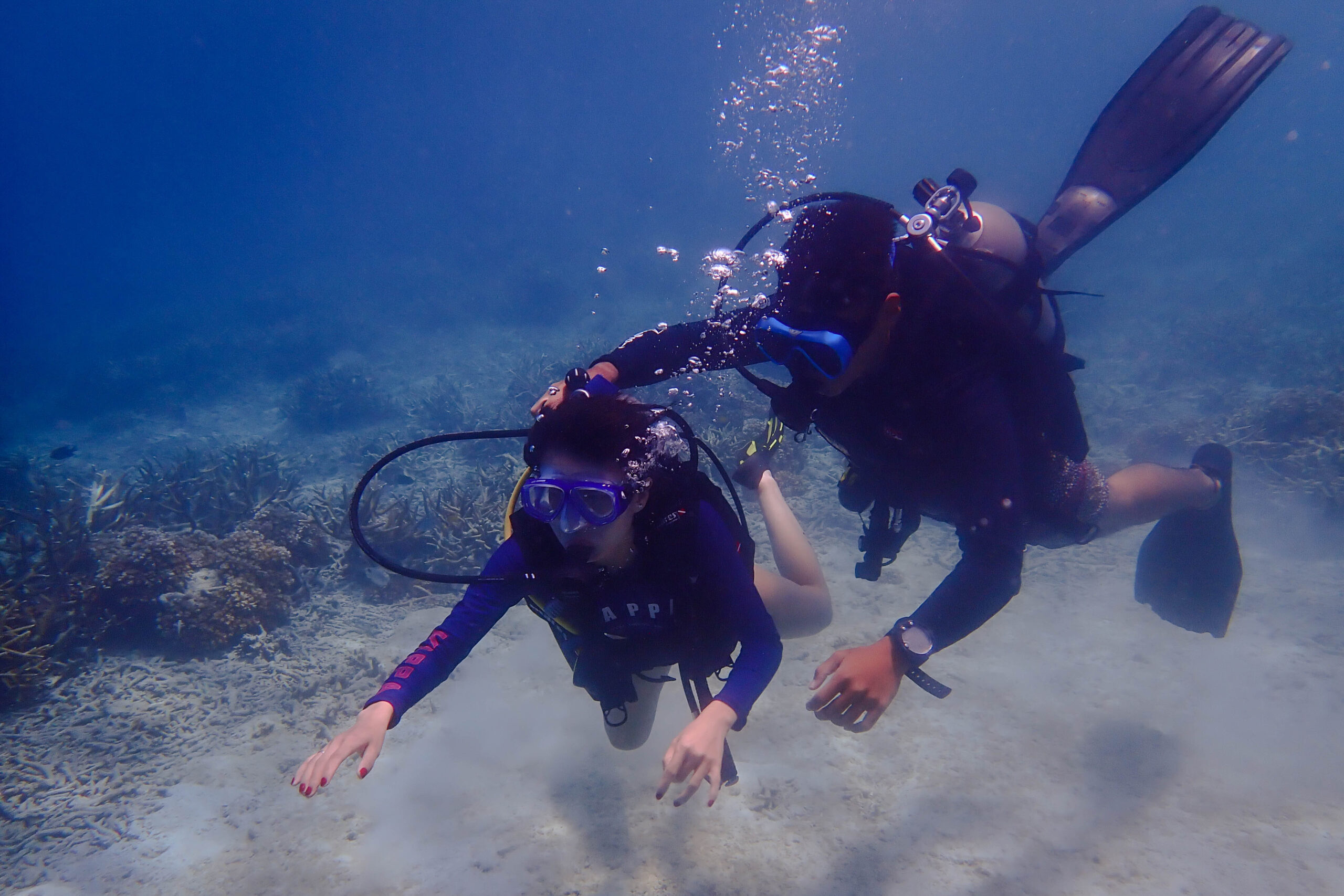 Discover Scuba Diving Session